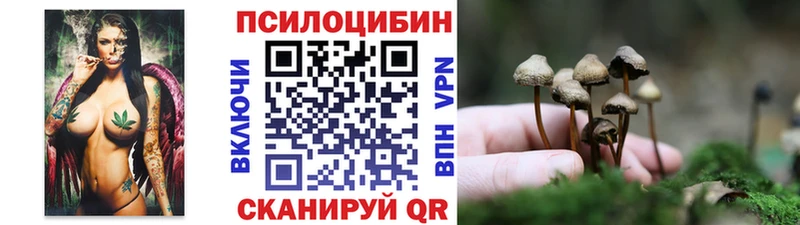 Галлюциногенные грибы MAGIC MUSHROOMS  Купить где  Невьянск 